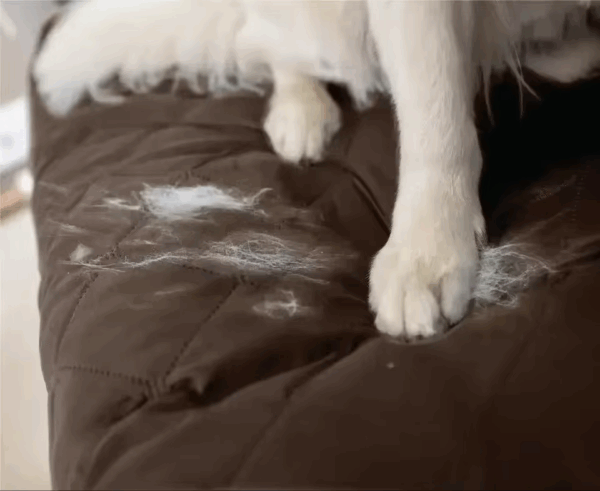 Protector Cubre Cobertores Sofa Muebles